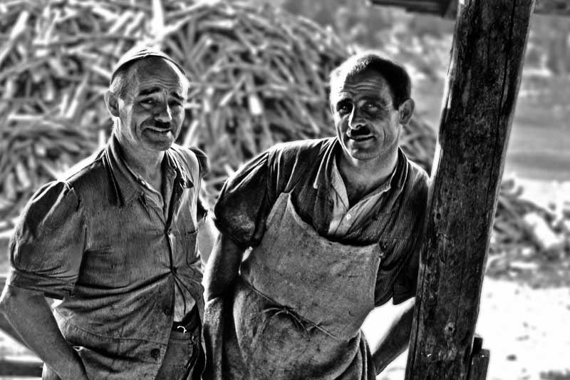 Les chalets d'alpage du Jura Vaudois, origines et architecture