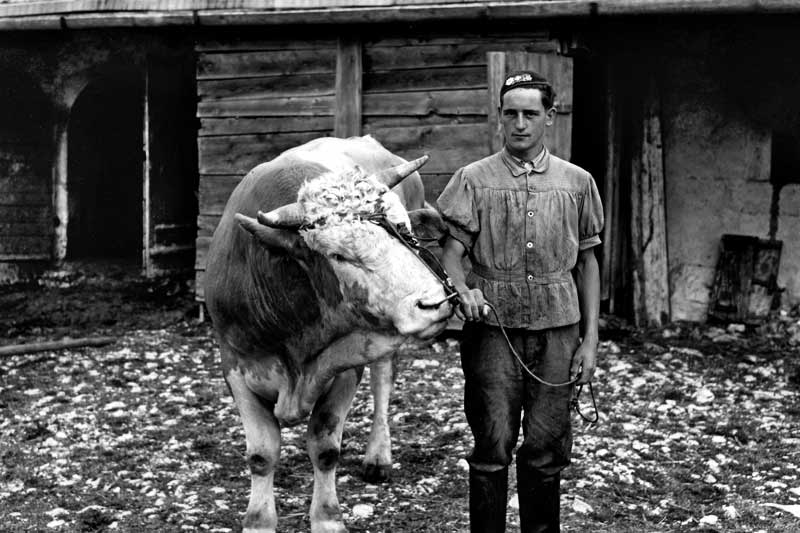 Les chalets d'alpage du Jura Vaudois, origines et architecture