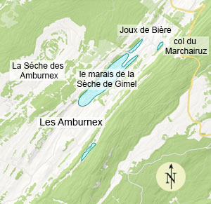 Plan des Amburnex