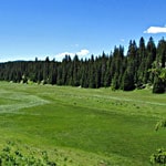 La combe des Amburnex