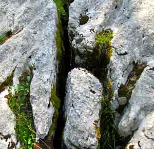 Diaclases, fractures dans une roche