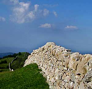 Le murs de pierres sèches du Mont Tendre