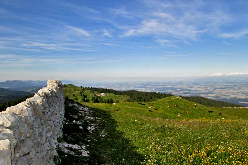 Le Mont Tendre (1679m) le plus haut sommet du Jura Suisse Le Mont Tendre (1679m) le plus haut sommet du Jura Suisse